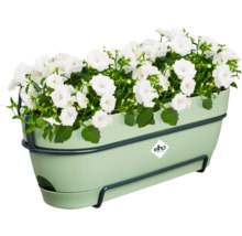 Bloembak met witte bloemen en ophanging