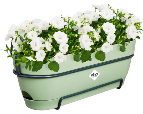 Bloembak met witte bloemen en ophanging