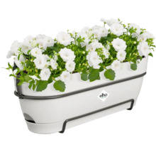 Bloembak met witte bloemen en Elho logo