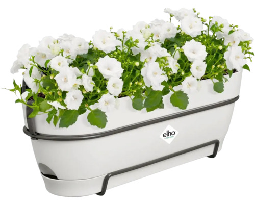 Bloembak met witte bloemen en Elho logo