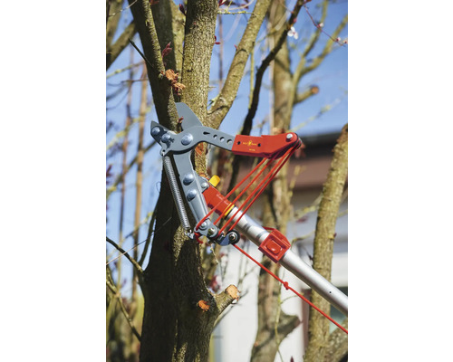 Boom snoeien met een takkenschaar op een boom