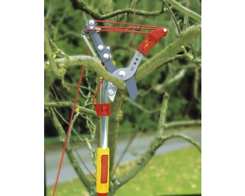 Takkenschaar voor het snoeien van boomtakken