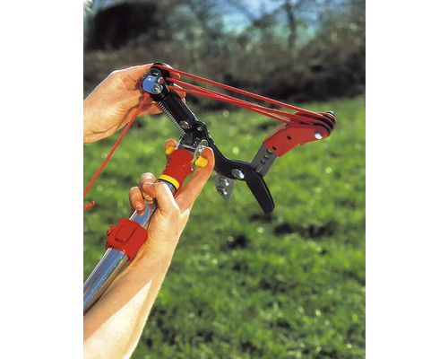 Een persoon bedient een takkenschaar met touwbediening in de tuin.