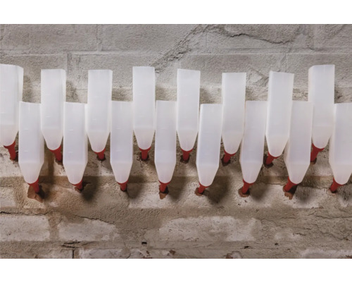 Rij drinkflessen voor dieren op een bakstenen muur