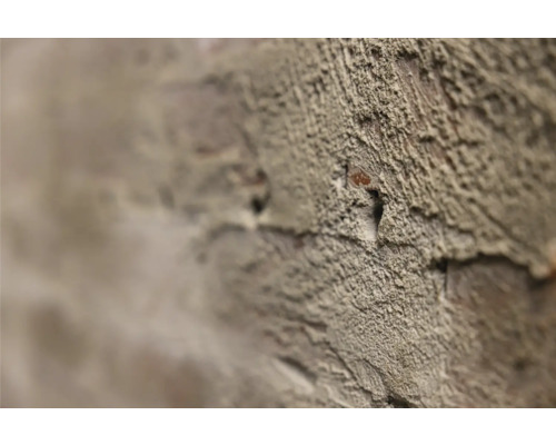 Close-up van een bakstenen muur met pleisterwerk