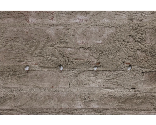 Detailopname van een gepleisterde bakstenen muur met zichtbare pluggen