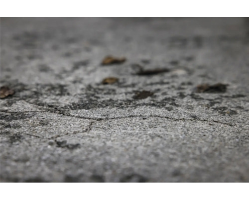 Betonnen vloer met scheuren en bladeren