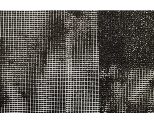 Close-up van een insectenhor