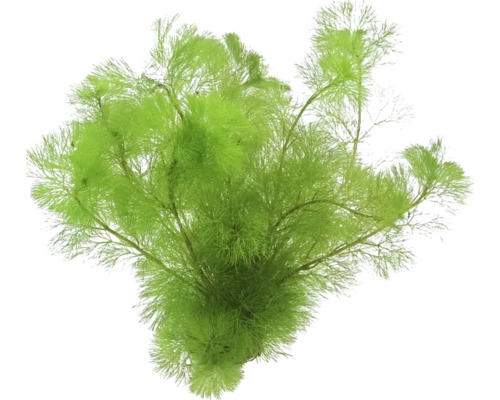 Kunstmatige waterplant voor aquaria