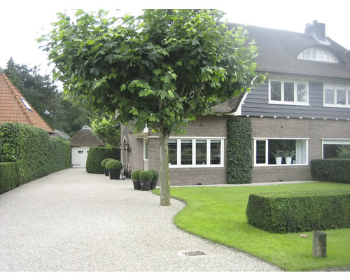 Oprit naar een huis met tuin en bomen.