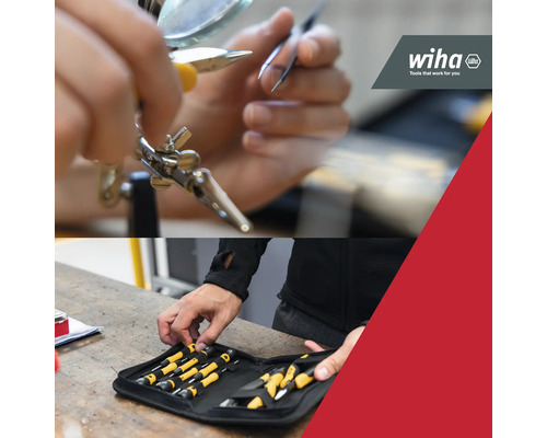 Persoon met gereedschap en schroevendraaierset van Wiha