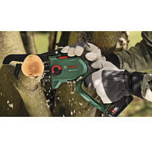 Bosch logo. Een accusnoeizaag zaagt een tak.