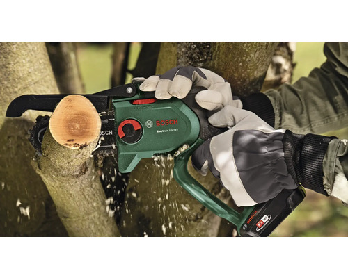 Bosch logo. Een accusnoeizaag zaagt een tak.