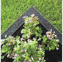 Tuinafboording met bloembed en gazon