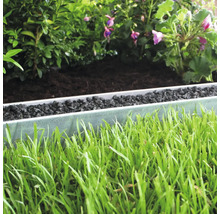 Close-up van een tuin met gazon, border en planten