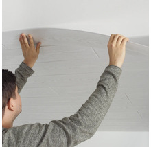 DECOSA Plafondpaneel PVC AP305 wit 100x16,5 cm