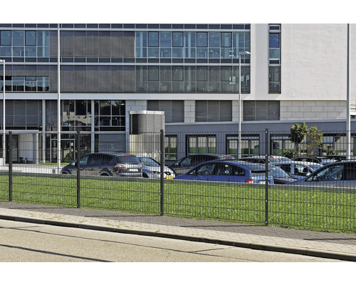 Dubbelstaafmat hekwerk voor een kantoorgebouw en een parkeerplaats.