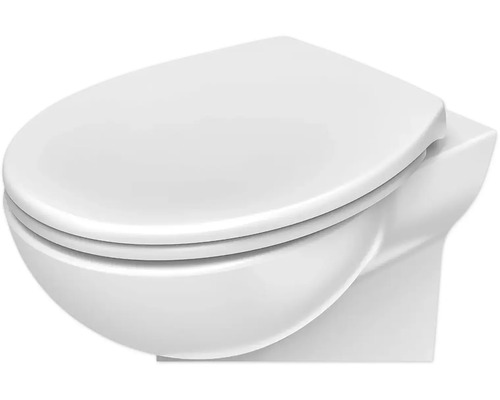 Wandcloset met diepspoeling en toiletzitting