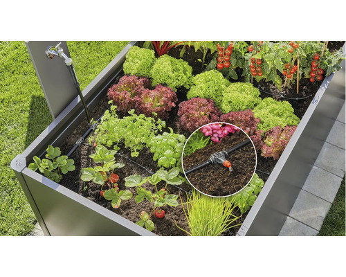 Verhoogde tuinbak met irrigatiesysteem en diverse planten