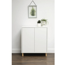 Witte multifunctionele kast met twee deuren en decoratie