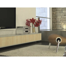 Moderne woonkamer met tv-meubel, tv en decoratie