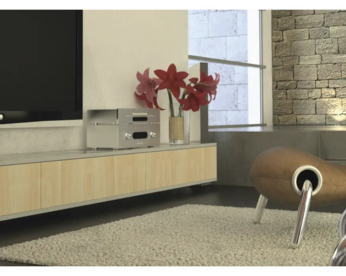 Moderne woonkamer met tv-meubel, tv en decoratie