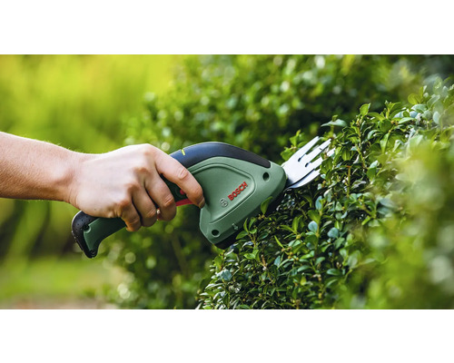 Persoon snoeit een heg met een Bosch struikenschaar.