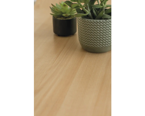 Twee planten in potten op een houten oppervlak