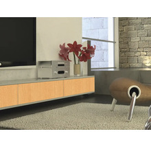 Woonkamer met tv, dressoir, kamerplant en fauteuil