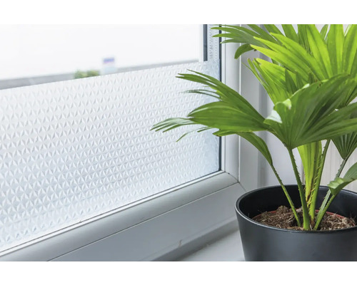Raam met privacyfolie en potplant