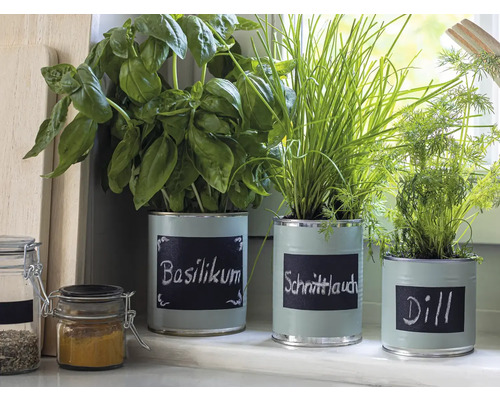 Kruiden in beschilderde blikken met opschrift basilicum, bieslook en dille