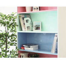 Kast met meerdere planken en decoratieve objecten.