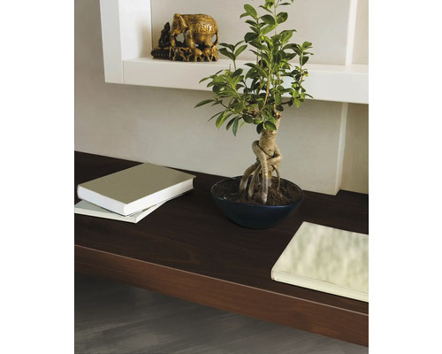 Decoratieve schikking met een kamerplant, boeken en een olifantsculptuur op een plank