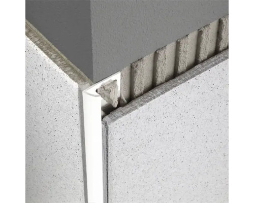 Plafondaanzicht met plafondpanelen en profiellijst