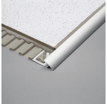 DURAL Traptredenprofiel Duratrans zilver 11 mm x 100 cm