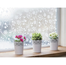 Decoratieve folie met bloemmotief op een raam, met daaronder drie bloempotten
