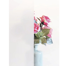 Privacyfolie met bloemen op de achtergrond