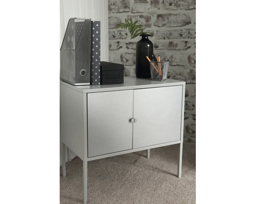 Kast met twee deuren, opbergvakken, doos en decoratie