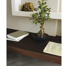 Decoratieve schikking met kamerplant, boeken en decoratief element op een plank.