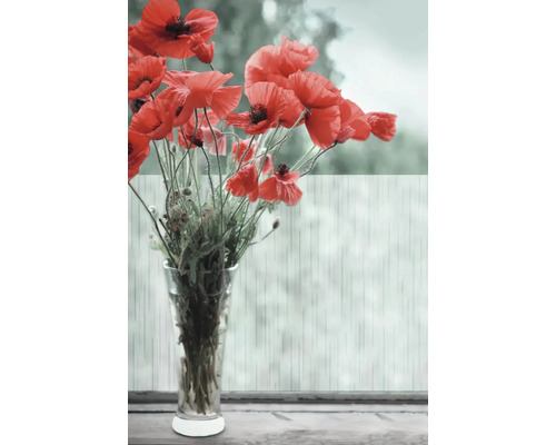 Boeket klaprozen in een glazen vaas