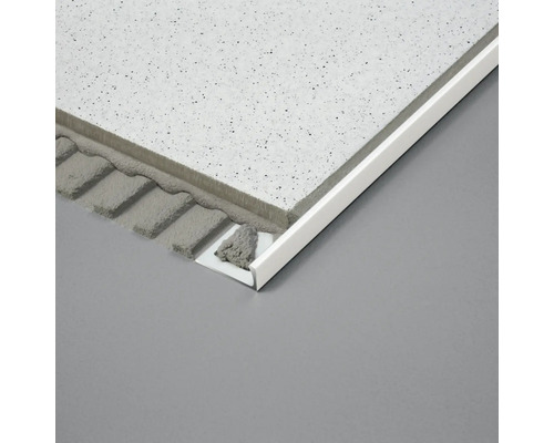 Metalen tegelprofiel bevestigd aan tegel