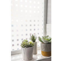 Raam met privacyfolie en decoratieve vetplanten in potten.