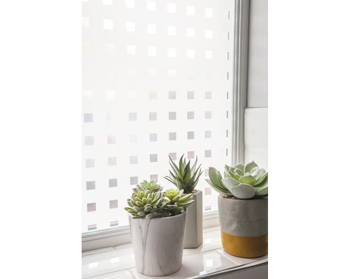 Raam met privacyfolie en decoratieve vetplanten in potten.
