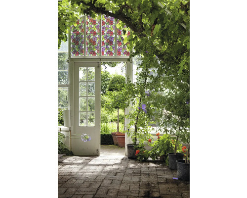 Scene met kas, planten en decoratieve raamfolie met bloemmotief