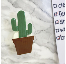 Decoratieve cactus in pot naast een takenlijst.