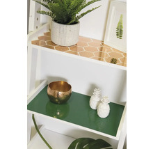 Decoratieve plank met planten, kom en ananasfiguren