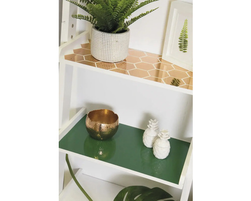 Decoratieve plank met planten, kom en ananasfiguren