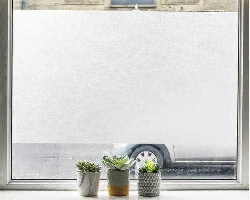 Raam met melkglasfolie en drie vetplanten