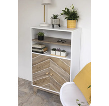 Kast met twee deuren, twee open vakken en planten ter decoratie
