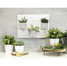 Decoratieve kamerplanten in potten en wandhouder op een tafel.
